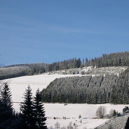 Haus Wald-Eck Apartment Schmallenberg Bagian luar foto