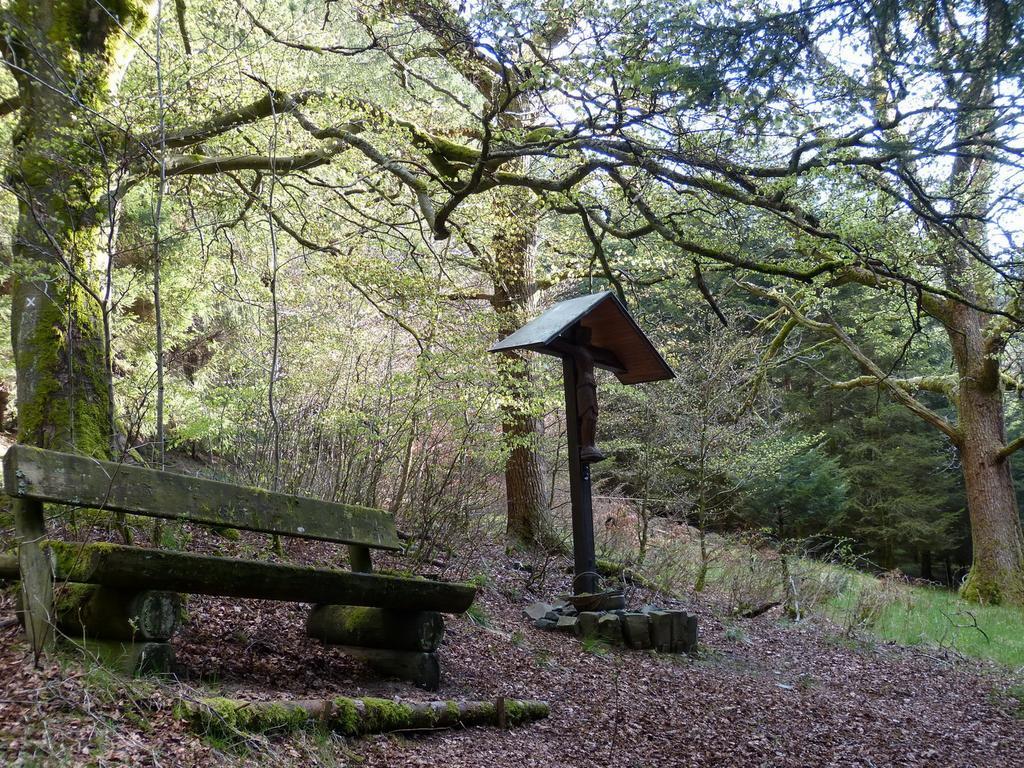 Haus Wald-Eck Apartment Schmallenberg Bagian luar foto