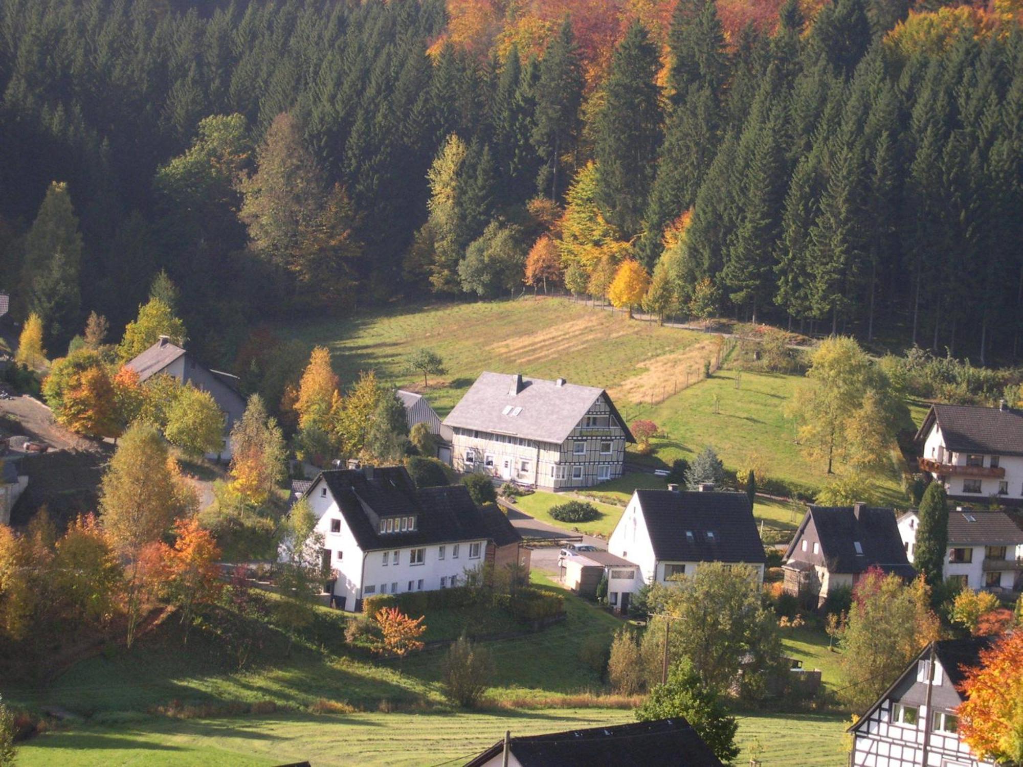 Haus Wald-Eck Apartment Schmallenberg Bagian luar foto