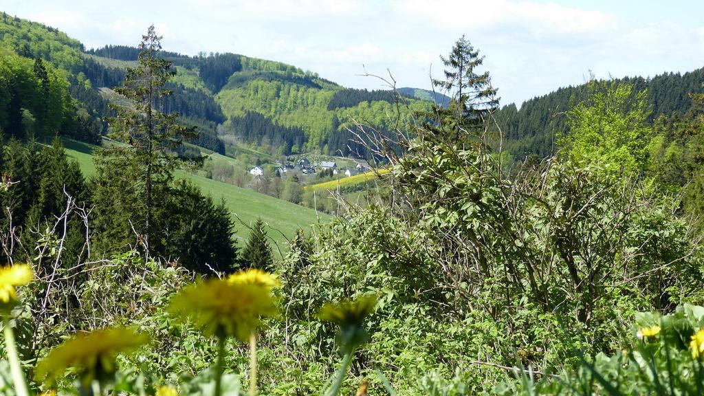 Haus Wald-Eck Apartment Schmallenberg Bagian luar foto