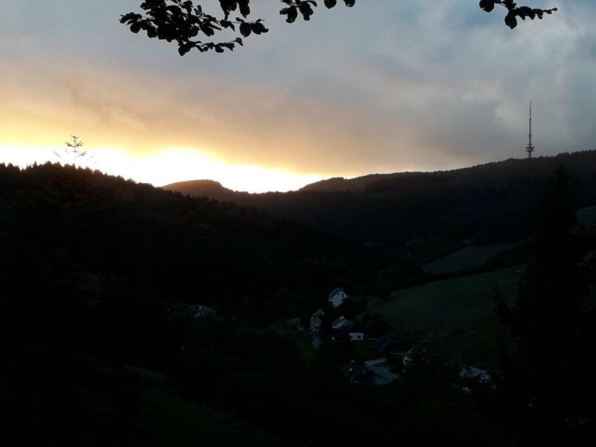 Haus Wald-Eck Apartment Schmallenberg Bagian luar foto