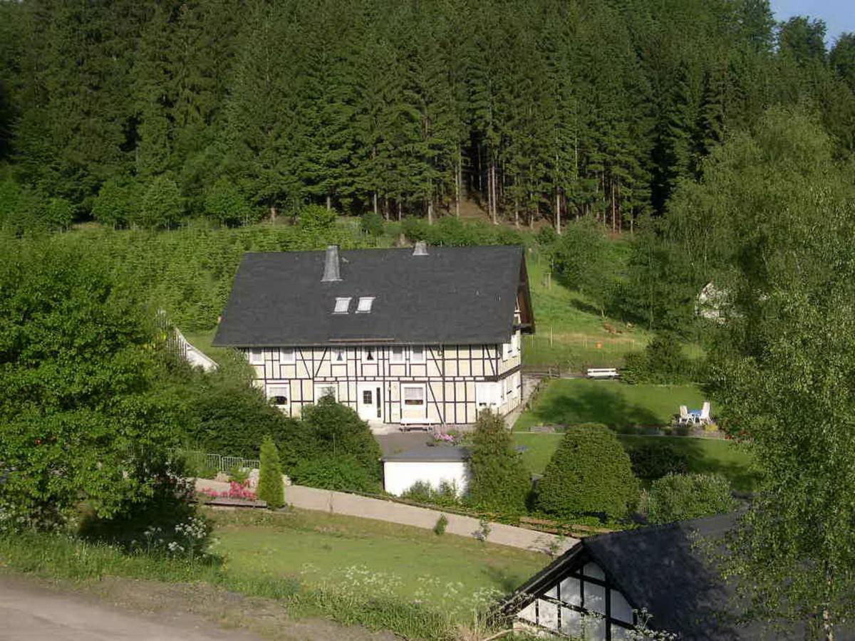 Haus Wald-Eck Apartment Schmallenberg Bagian luar foto
